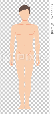 前を向いた男性の身体（主線なし） 37386485