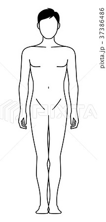 前を向いた男性の身体 線画 のイラスト素材