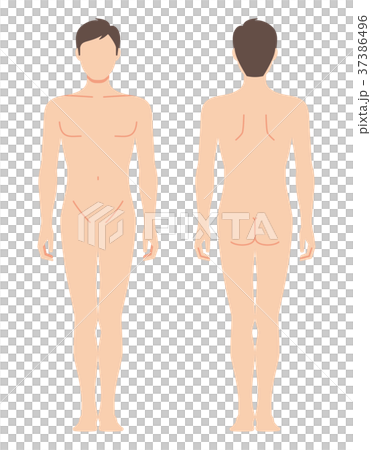 男性の身体(主線なし) 男性の身体(主線なし) 37386496