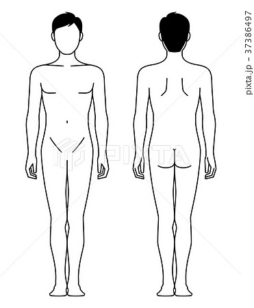男性の身体 線画 のイラスト素材 37386497 Pixta