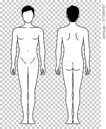男性の身体(線画) 男性の身体(線画) 37386497