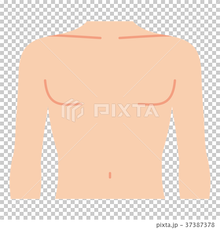男性乳房朝前（沒有主線） 37387378