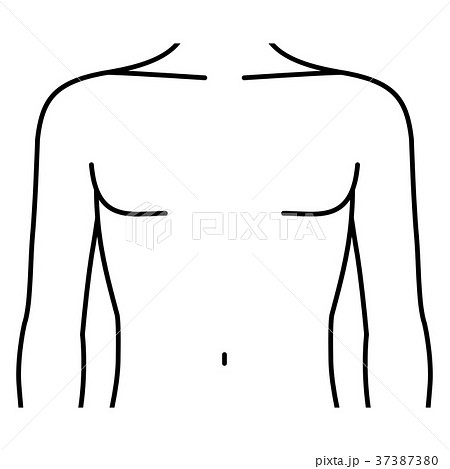 前を向いた男性の胸 線画 のイラスト素材