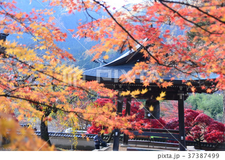 清水寺境内の紅葉 清水寺境内の紅葉 37387499