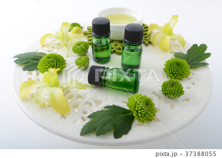 エステイメージ エステイメージ 37388055