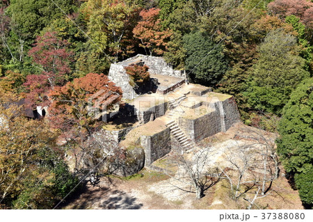 苗木城跡大矢倉跡 苗木城跡大矢倉跡 37388080
