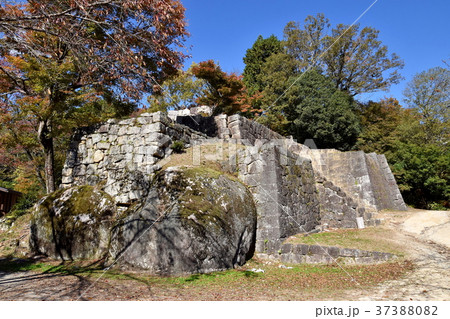 苗木城跡大矢倉跡 37388082