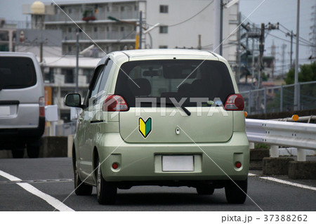 初心者マーク 軽乗用車 37388262