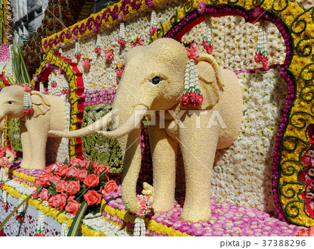 Elephant art in ChiangMai Flower Festival,Thailand 37388296