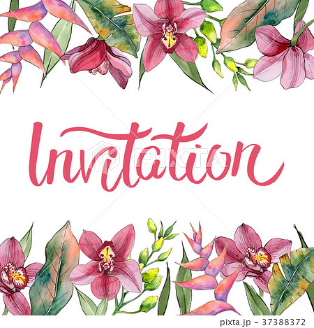 Wildflower orchid flower frame in a watercolor Wildflower orchid flower frame in a watercolor 37388372