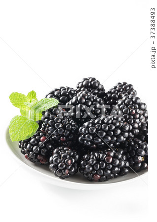 ブラックベリー ブラックベリー 37388493