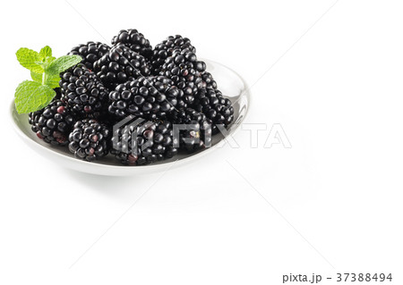 ブラックベリー ブラックベリー 37388494