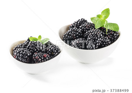 ブラックベリー 37388499