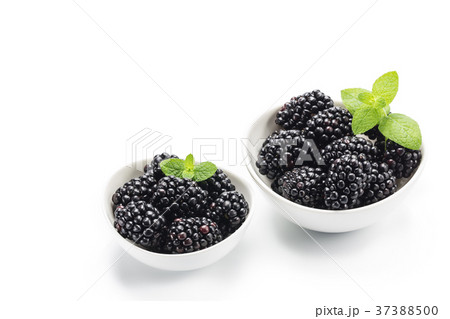 ブラックベリー 37388500