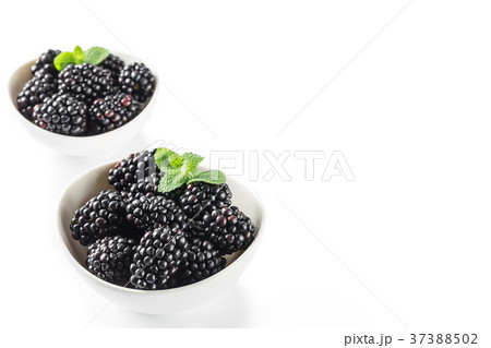 ブラックベリー 37388502