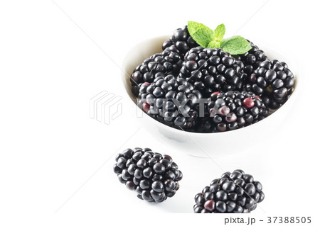 ブラックベリー 37388505