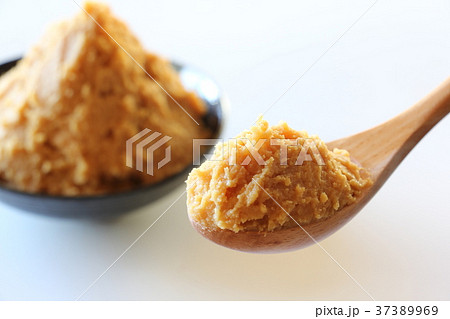 味噌 味噌 37389969