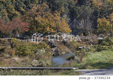 紅葉の長瀞渓谷（いろは沼） 37390239