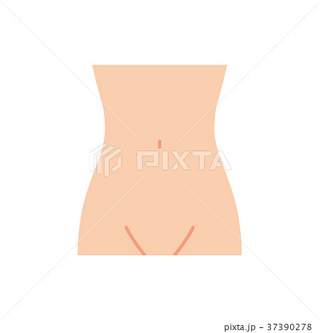 女性のお腹(主線なし) 女性のお腹(主線なし) 37390278
