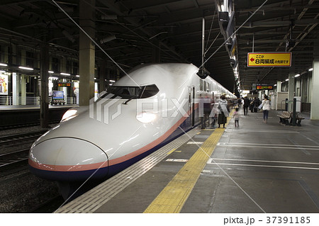 上越新幹線E4系(朱鷺色・長岡駅) 上越新幹線E4系(朱鷺色・長岡駅) 37391185