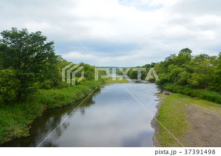 雪裡川（音羽橋／北海道阿寒郡鶴居村下雪裡第三） 37391498
