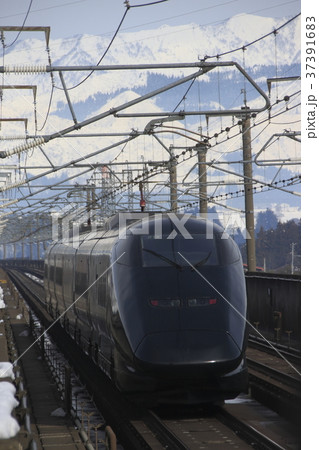 現美新幹線 GENBI SHINKANSEN 現美新幹線 GENBI SHINKANSEN 37391683