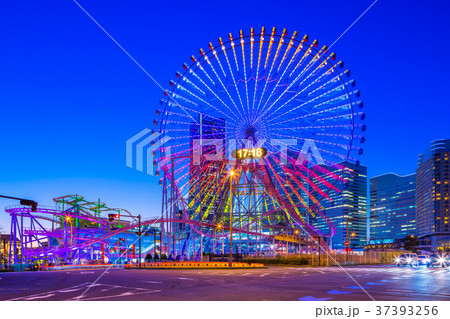 神奈川　横浜みなとみらいの夜景 37393256