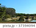 後楽園　芝焼き 37394094