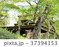 半田山植物園　休憩所 37394153