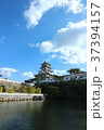 今治城 37394157