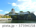 今治城 37394158