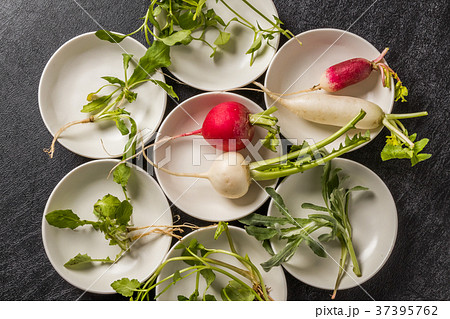 山菜粥 七草粥 Wild grass porridge Japanese food 山菜粥 七草粥 Wild grass porridge Japanese food 37395762
