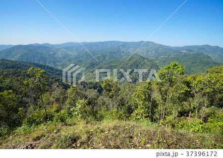 Nature view mountain, forest and blue sky 37396172