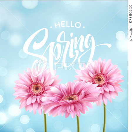 Gerbera Flower Background and Hello Spring 37396210