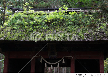 戸隠神社奥社の随神門 戸隠神社奥社の随神門 37396403