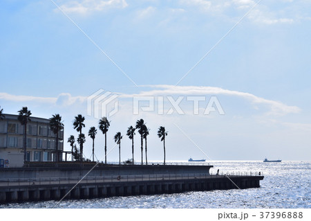 舞子の海岸と沖を通る船 37396888