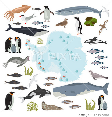 Antarctic, Antarctica,  flora and fauna map 37397868