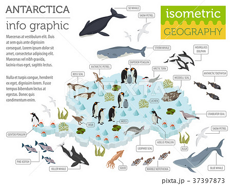 Antarctic, Antarctica,  flora and fauna map 37397873