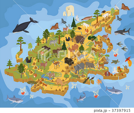 Isometric 3d Asian flora and fauna map  37397915