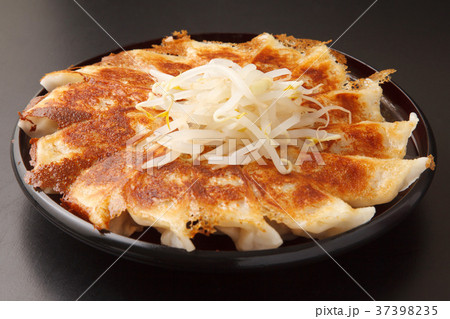 浜松餃子 浜松餃子 37398235