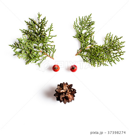 minimalistic Reindeer Face minimalistic Reindeer Face 37398274