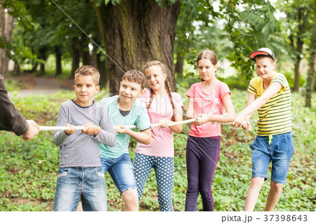 Tug-of-war in park 37398643