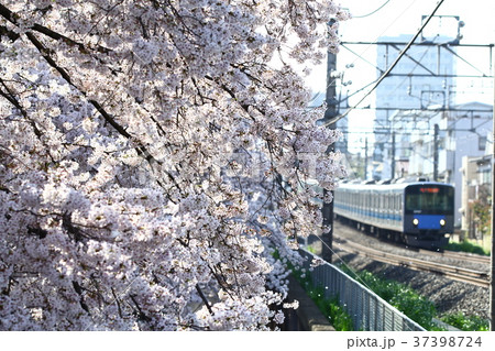 さくらと西武線 37398724