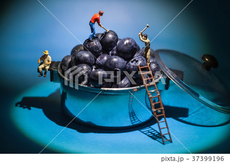 blueberry miner workers blueberry miner workers 37399196