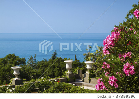 Park near the Vorontsov Palace Park near the Vorontsov Palace 37399596