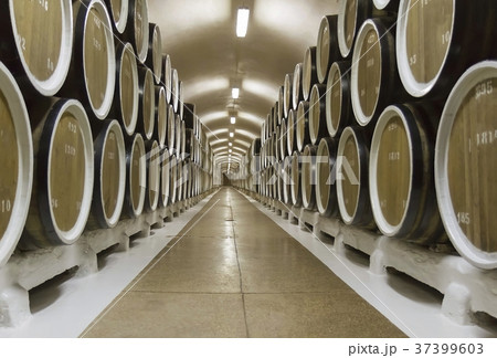 wine cellar wine cellar 37399603