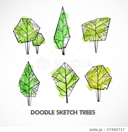 Set of green doodle sketch trees on white Set of green doodle sketch trees on white 37400737
