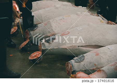 fish market fish market 37401616