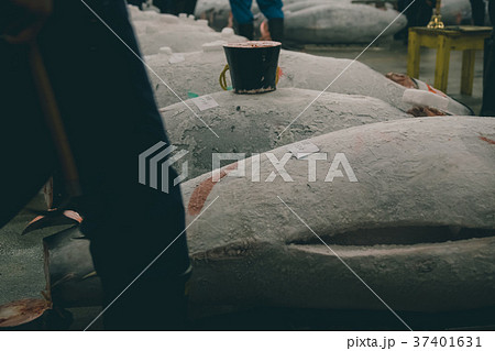 fish market fish market 37401631