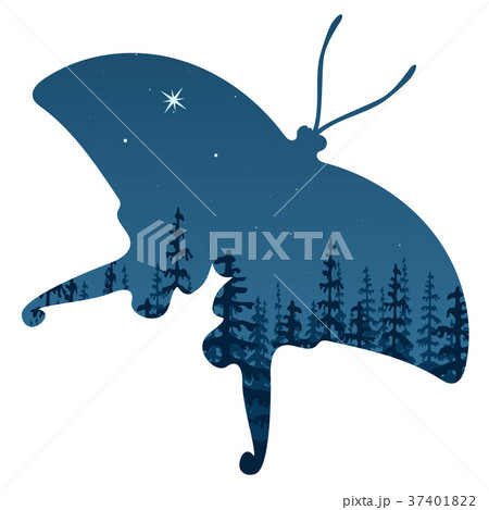 Landscape with silhouette of forest at night Landscape with silhouette of forest at night 37401822